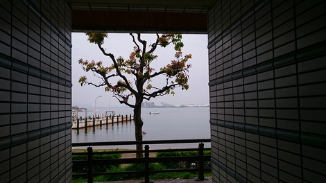 連休ですが・・普通です