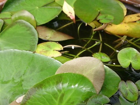 湿度高し