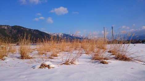 居残る冬・・・雪は無いけど・・