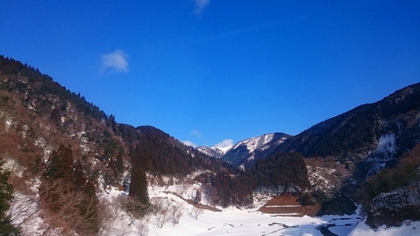 居残る冬・・・雪は無いけど・・