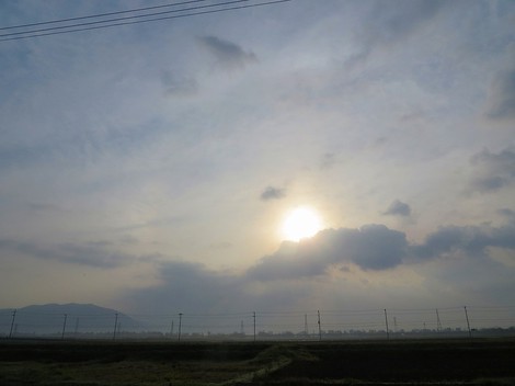 曇り空・・でも晴れそうな・・木曜日