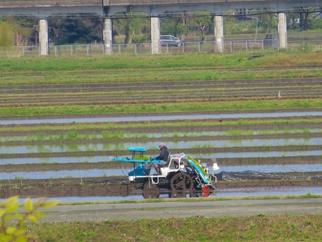 田植えが始まった・・昭和の日の一日