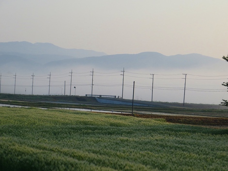 もう四月も最終日・・今朝は濃霧から・・