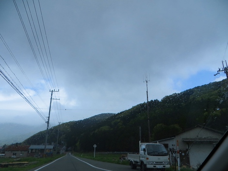 メタセコイヤ並木・・夕方は時雨れて・・水曜日