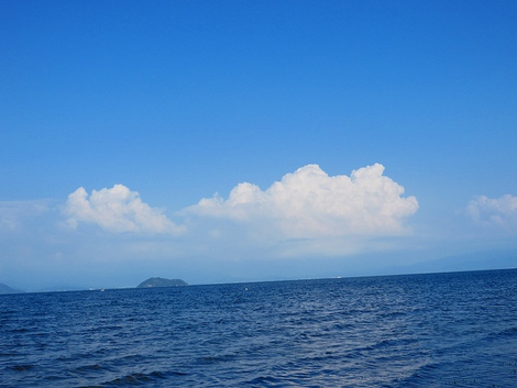 夏もまだまだ・・元気ですが。