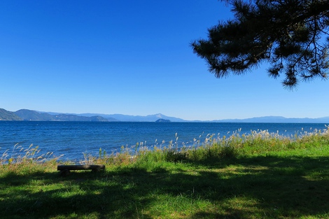 快晴は秋深しの景色ばかりでした