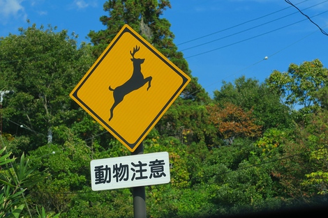 快晴の秋の日～続く
