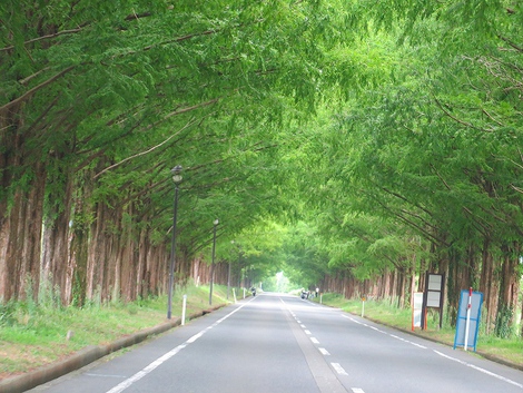 秋風景・・感じながら土曜日でした