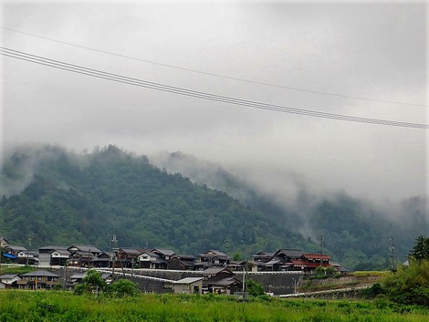午後に雨がやんで・・草花も・・琵琶湖も・・