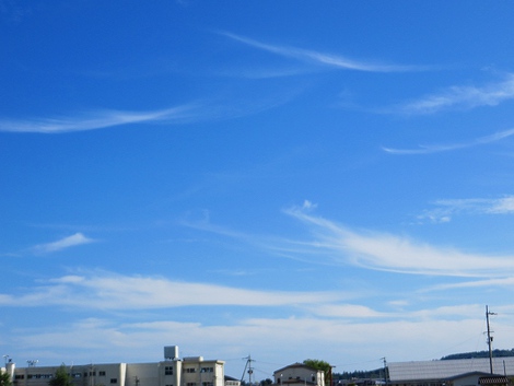 心地よい秋の土曜日でした