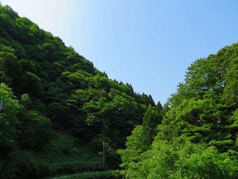 晴れの月曜日でしたが・・少しもやって琵琶湖も