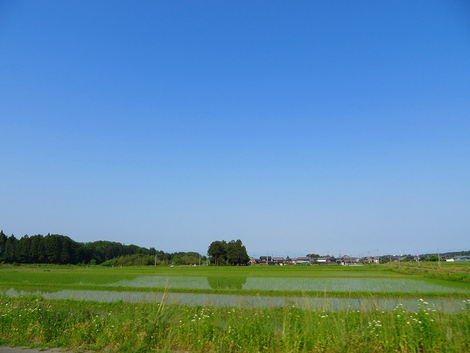 晴れの月曜日でしたが・・少しもやって琵琶湖も