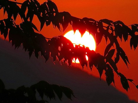 今朝も朝陽から・・午後は真夏日？？火曜日・・