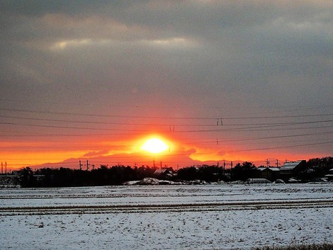 薄日の木曜日・・冷え込んで夕刻