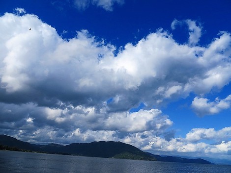 今日の琵琶湖・・