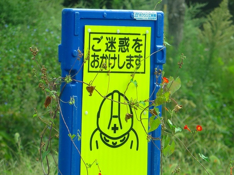 湿度高く・・土曜日でした