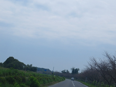 小学校の運動会のようだ・・