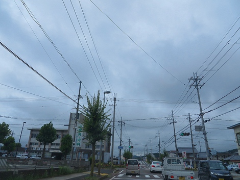 バラも秋仕様で咲いて・・