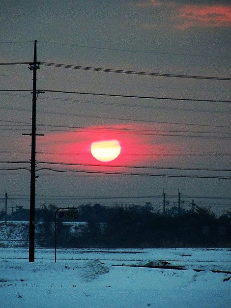 薄日の木曜日・・冷え込んで夕刻