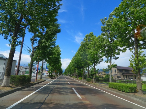 暑さが戻って・・日曜日・・汗汗！！