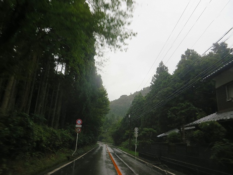 台風一過じゃないよね～～