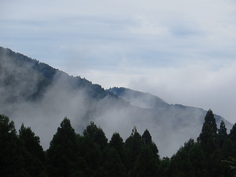 月曜日の風景・・やはり彼岸花