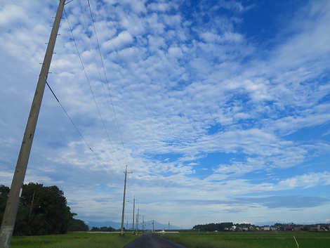 月曜日の風景・・やはり彼岸花