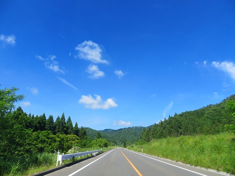 晴れて気温も高め・・金曜日