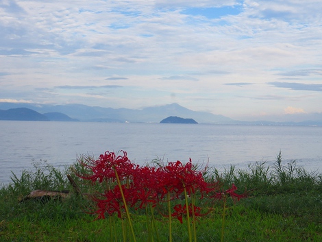 月曜日の風景・・やはり彼岸花