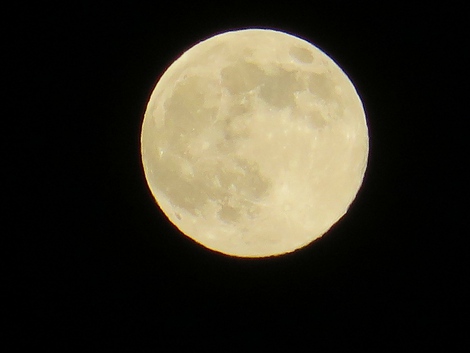 梅雨休暇・・今夜の月