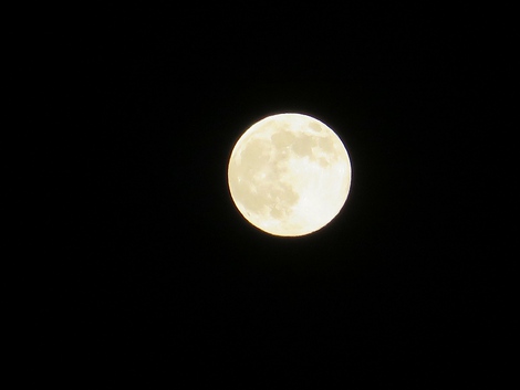 梅雨休暇・・今夜の月
