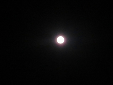 梅雨休暇・・今夜の月