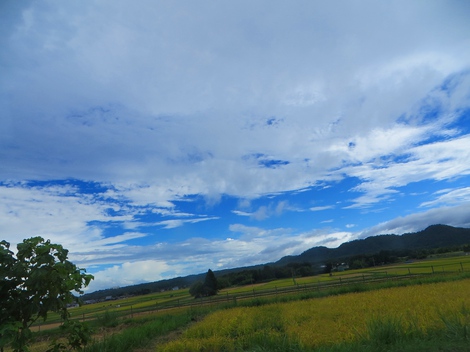 曇りがち・・空模様・・台風は？