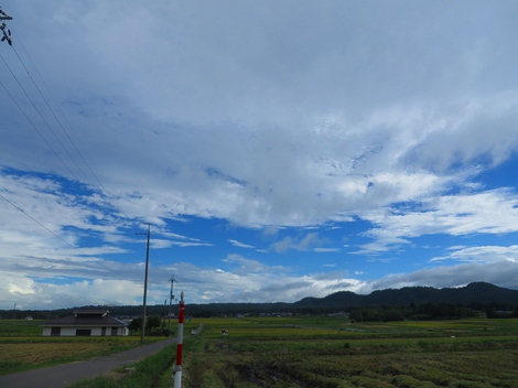曇りがち・・空模様・・台風は？