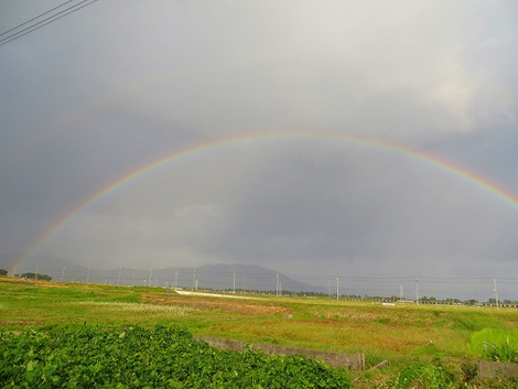 夕方・・少し時雨れて虹がでた！