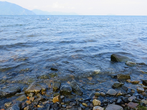 ８月お一日・・少し乾燥の空気と風で・・