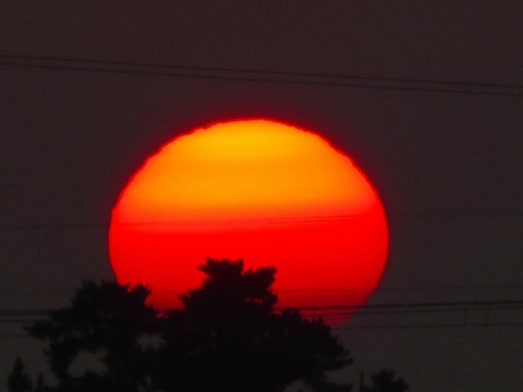 梅雨明けの模様で・・一気に夏！！暑っっ