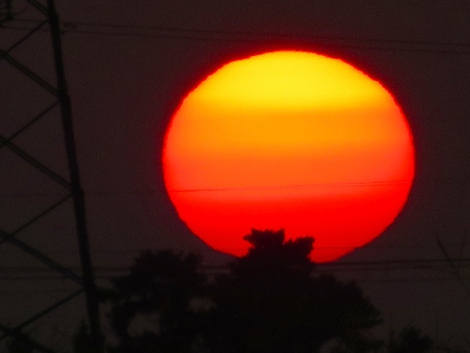 今朝のお目覚め～～朝陽