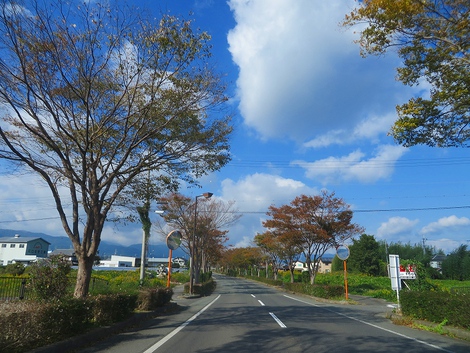 秋様子が・・少し