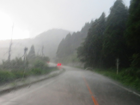 暑さ～頑張る！夕方に豪雨と強風・・雷鳴で気温も急降下・・