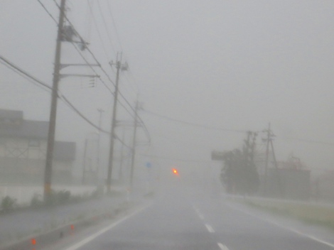 暑さ～頑張る！夕方に豪雨と強風・・雷鳴で気温も急降下・・