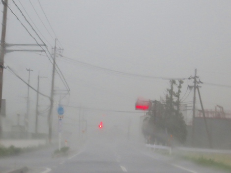 暑さ～頑張る！夕方に豪雨と強風・・雷鳴で気温も急降下・・