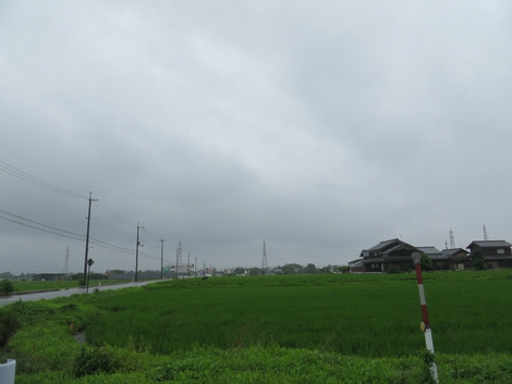 ほぼ一日雨降りばかりでした・・金曜日