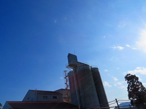 まだ真夏日・・琵琶湖と風景がいい感じ
