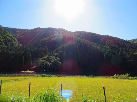 澄み切った空気で・・秋空仕様に・・