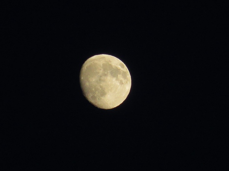 青空も秋・・夜も秋～～日曜日