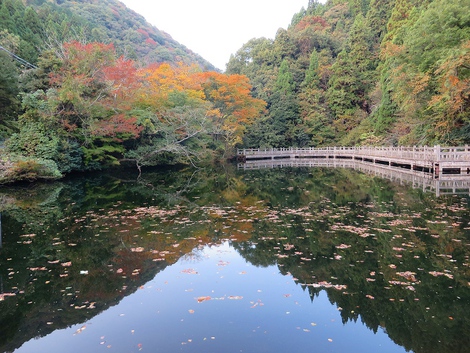 今日見えた風景～～