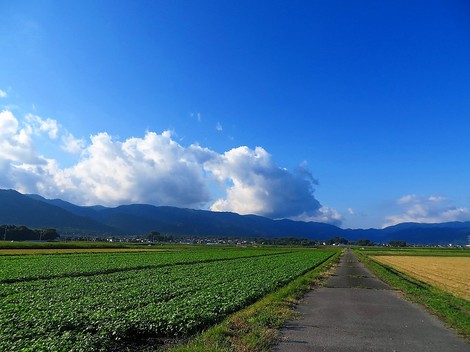 夕刻は秋が深まった感じの空と風で・・金曜日もおしまい