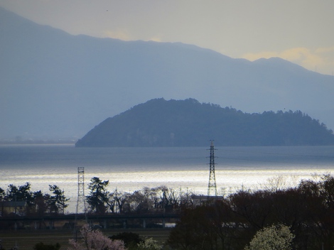 海津大崎・・平日でも混雑で満開時期に！