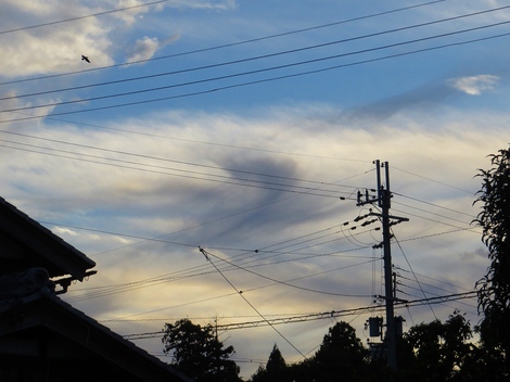 今日も灰色の空・・土曜日